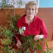 лидия, 67, Богородицк