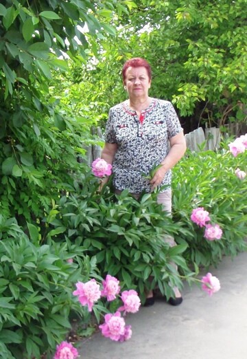 My photo - galina, 67 from Zimovniki (@galina54417)