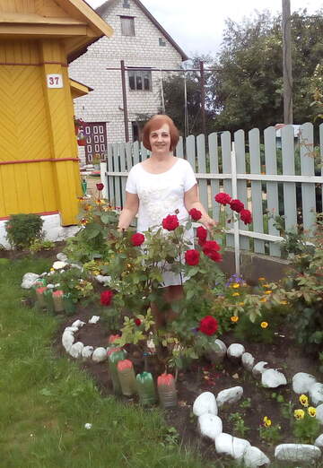 My photo - Lyudmila, 62 from Ostrovets (@ludmila70862)