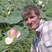 Андрей, 60, Курганинск