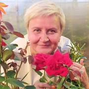 Елена, 53, Соликамск