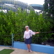 Наталья, 47, Асино