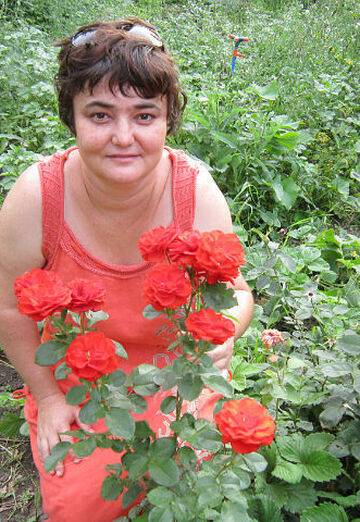 Моя фотография - эльвира, 52 из Донской (@elvira10520)