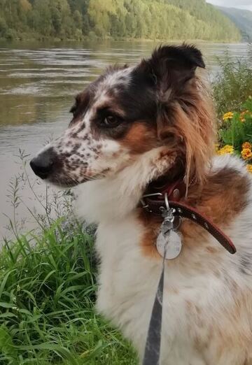 🍃🌺Nataliya 💖🦊 (@nataliya43937) — my photo № 13