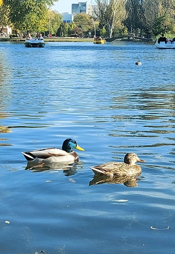 Serge (@serj32081) — my photo № 27