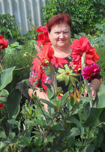 Моя фотография - Зинаида Трофимова, 65 из Ровное (@zinaidatrofimova1)