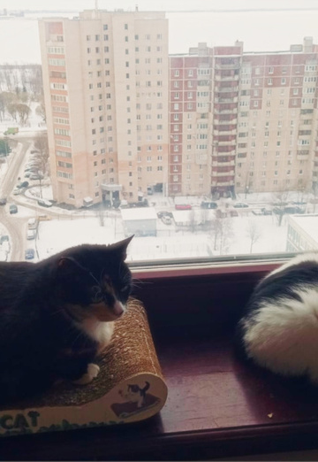 Sergey (@sergey1208056) — my photo № 3