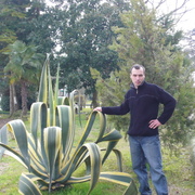 yura tkachenko 56 Batumi