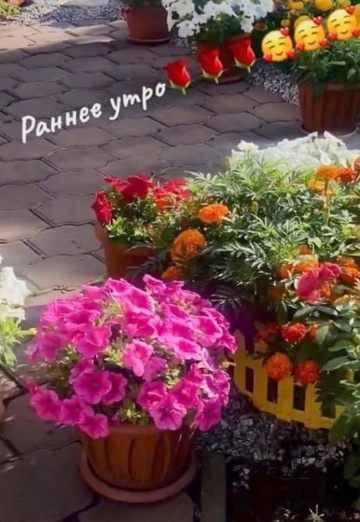 Vsem mira i dobra!❤️ (@larisa72317) — my photo № 19