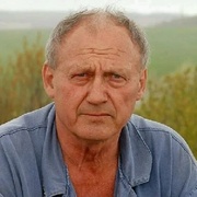 Николай, 62, Сергач