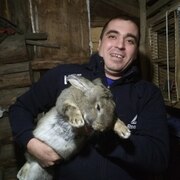 Андрей, 39, Мирный (Архангельская обл.)