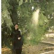 Екатерина, 39, Пролетарск