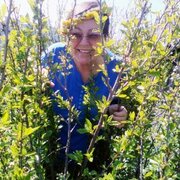 галина, 67, Заводоуковск
