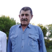 Владимир, 71, Шарлык