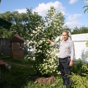 Николай, 65, Ильинское-Хованское