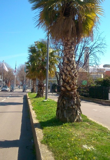 Anastasiya (@anastasiya118682) — my photo № 2