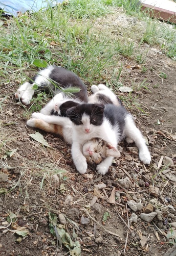 Evgeniy (@evgeniy427740) — my photo № 2