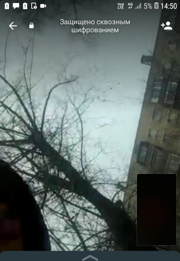 Dhsh Xbxh (@dhshxbxh) — my photo № 2