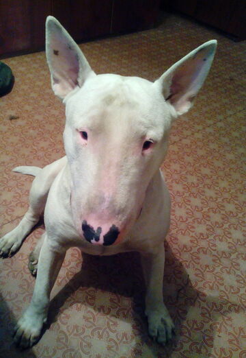 zak (@zak254) — my photo № 2