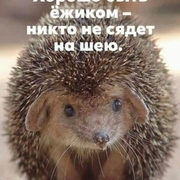 Светик (@gponochka) — моя фотография № 19