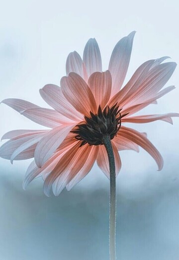 nimfa (@nimfa24) — my photo № 31