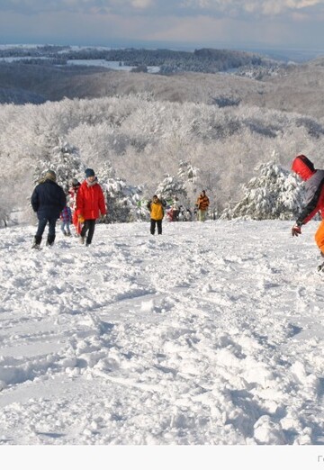 Vladimir (@vladimir65313) — my photo № 15