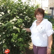 Татьяна, 64, Сараи
