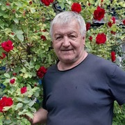 Александр, 69, Москва