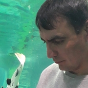 Андрей, 36, Бузулук