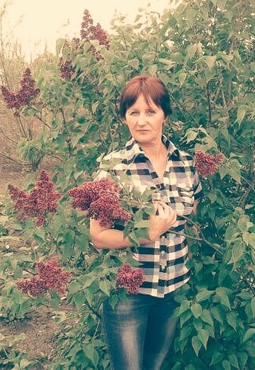 Моя фотография - Натали, 59 из Луганск (@natali60441)