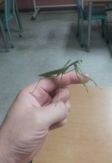 nurik (@nurik2300) — my photo № 2